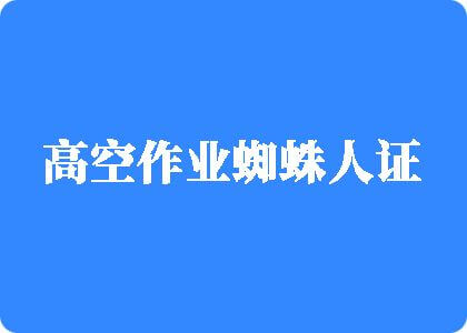 操的姐b直流白水小说高空作业蜘蛛人证